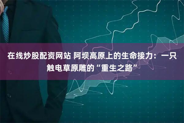 在线炒股配资网站 阿坝高原上的生命接力：一只触电草原雕的“重生之路”